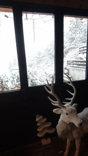 Un balcon en montagne