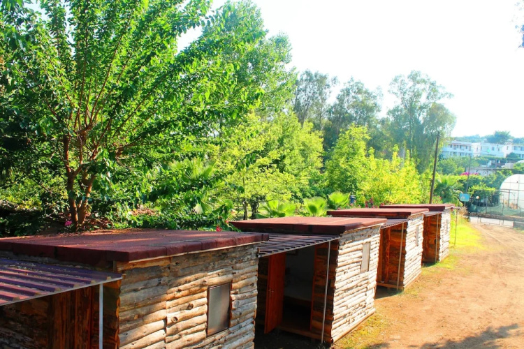 Medusa Bar & Camping - Hostel