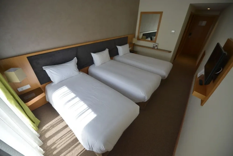 1 Bedroom Standard Triple room