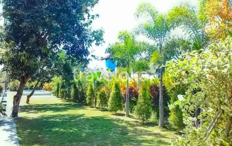 Bali Studio ApartmentHotel Overview