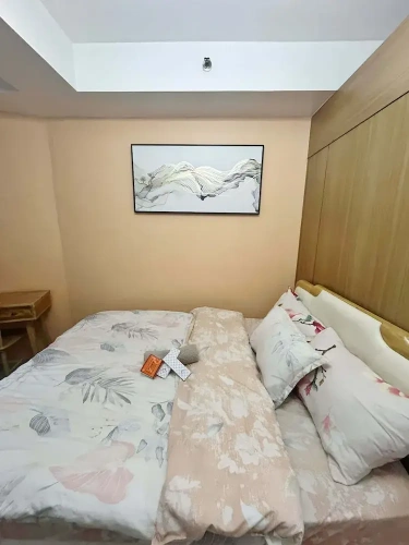 Comfort Apartment