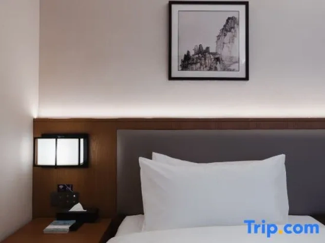 Standard Double room with city view