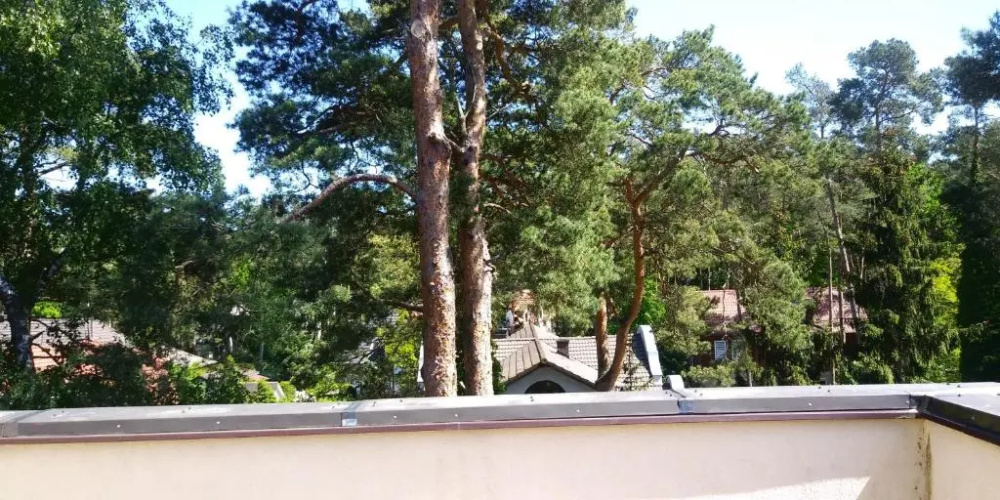 Dom Gościnny Przy Lesie