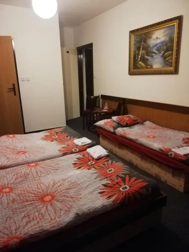 Standard Twin room with balcony and with view