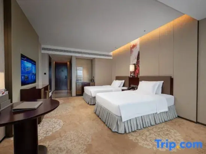 Executive Double room with river view