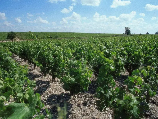 Adagio Access Bordeaux Sud Pessac (ouverture octobre 2025)