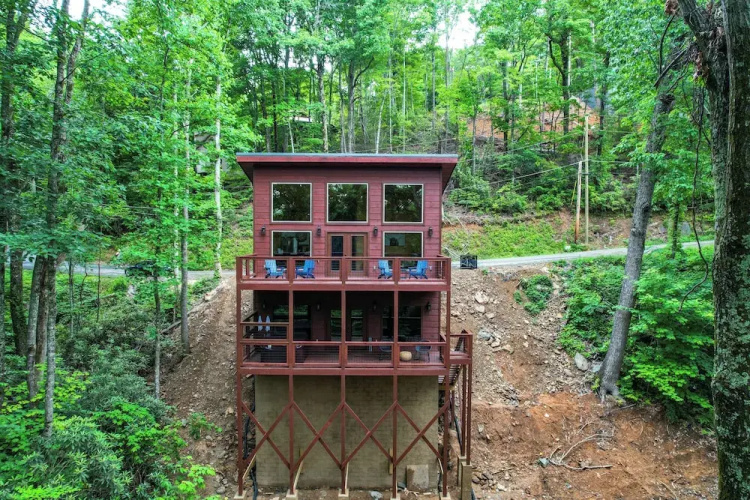 Theo's Treehouse