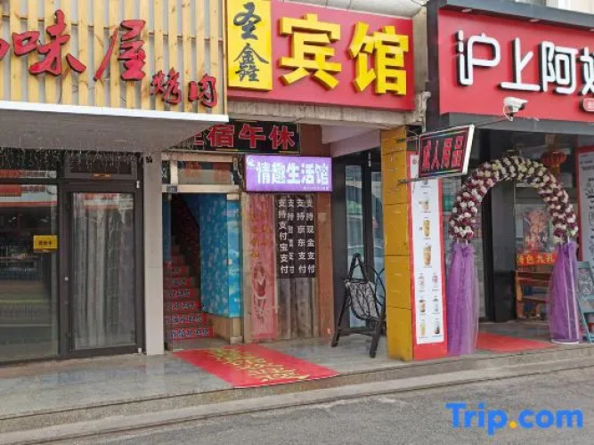 Zibo Shengxin Theme Motel