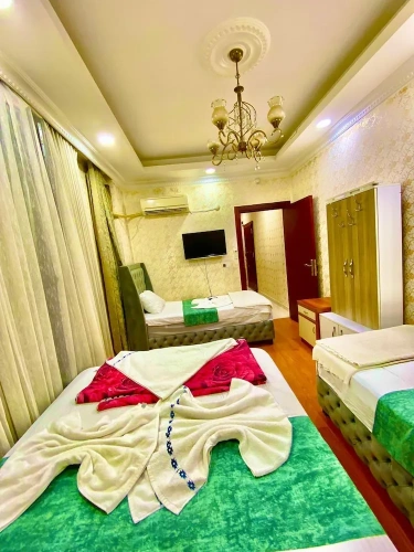 Economy Apartment