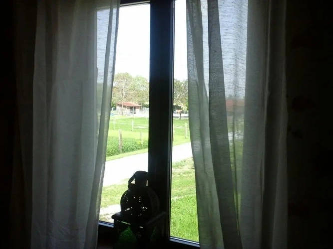 Standard Double room with view