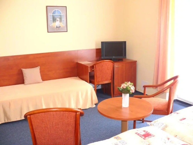 Standard Double room