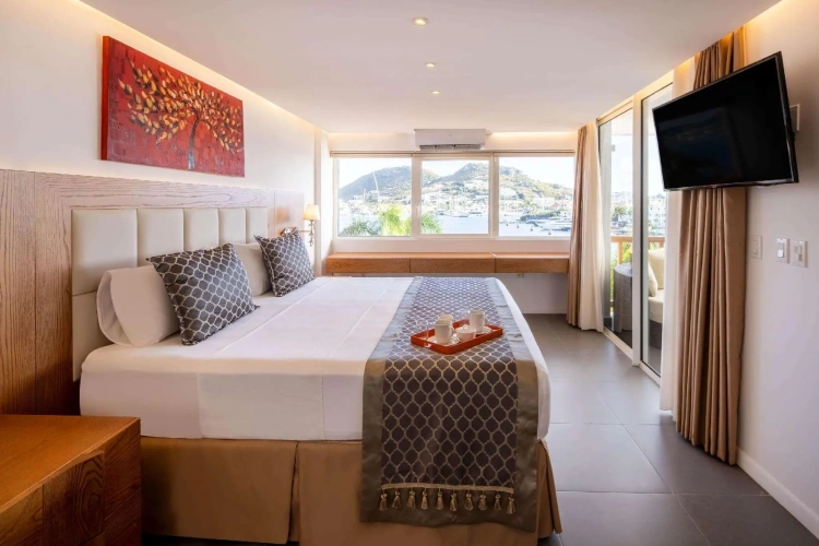 Executive Double Suite
