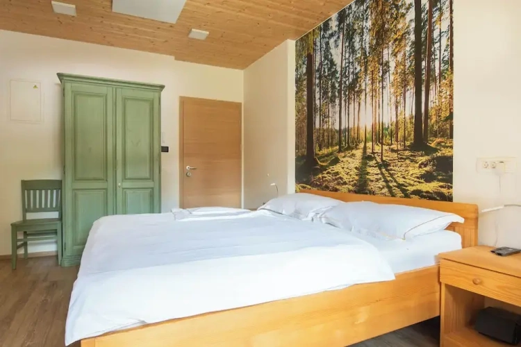 1 Bedroom Comfort Apartment with garden view