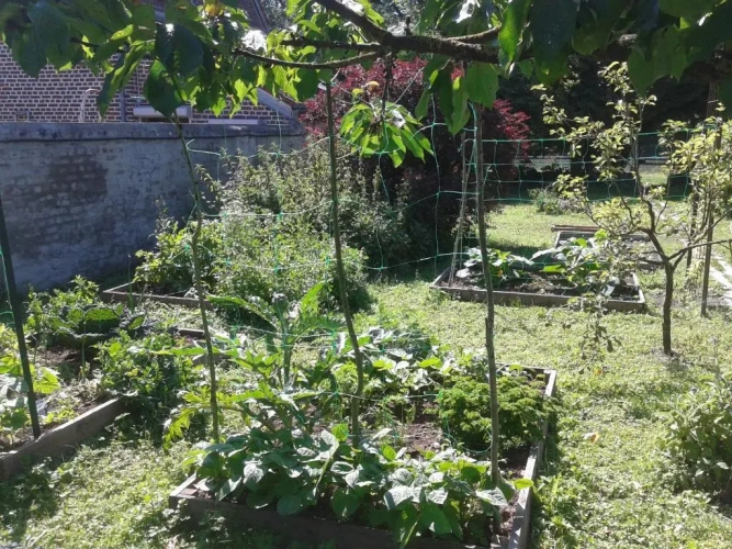 Standard Double room with garden view