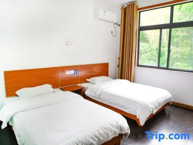 Standard Twin room with mountain view