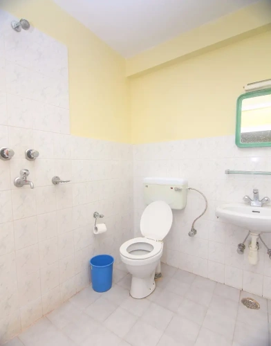 Deluxe Double room with mountain view
