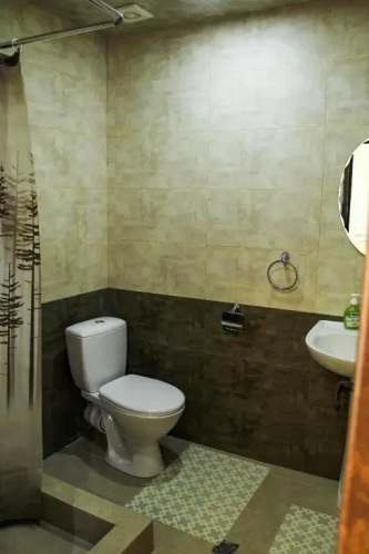 Bee Lucky Hostel and Tours