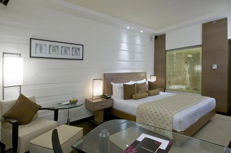Deluxe Double room with city view