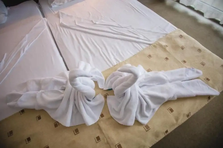 Standard Twin room with balcony and with pool view
