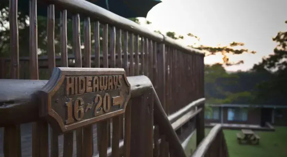 Hippo Hideaway
