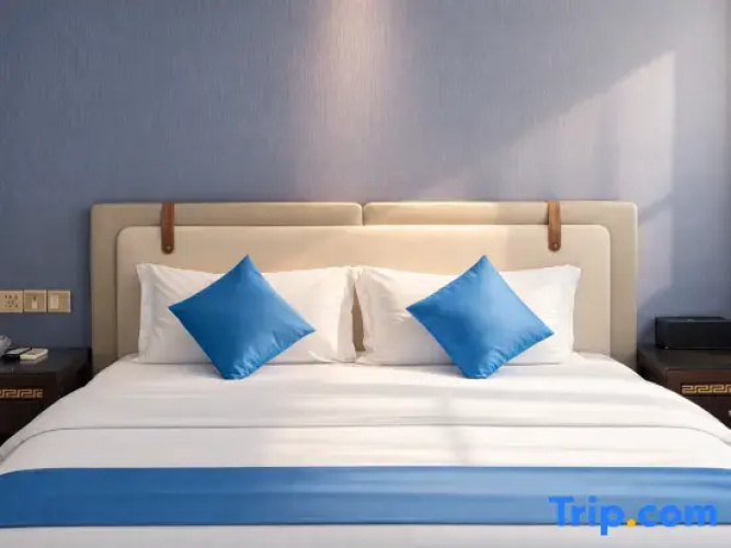 1 Bedroom Standard Double room