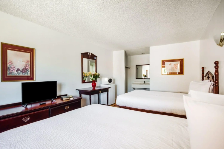 Premium Quadruple room