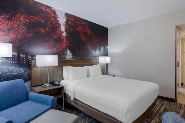 Standard Double room