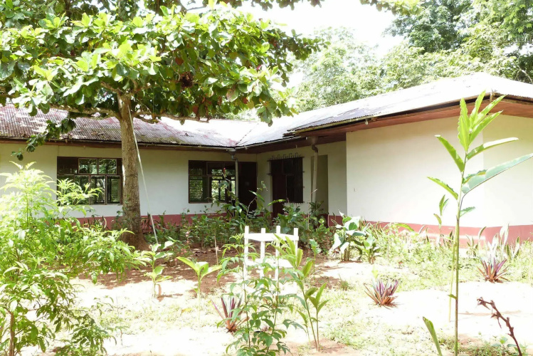 Tarantula Hostel