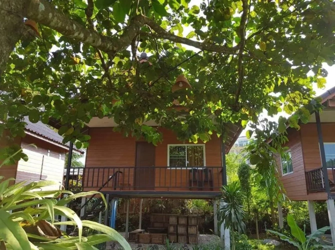 Standard Double room with garden view