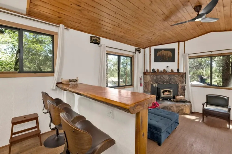 Bear Forest Cabin #2553