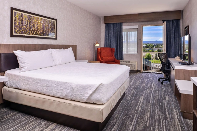 Standard Double room with balcony and with river view