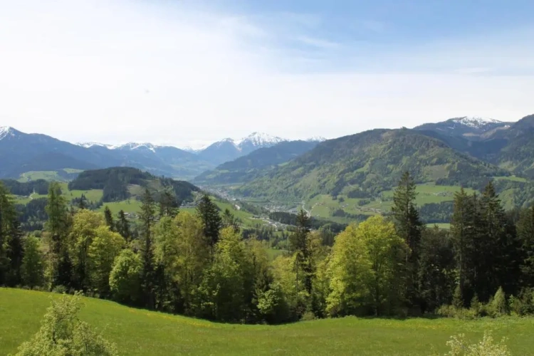Standard Double room with mountain view