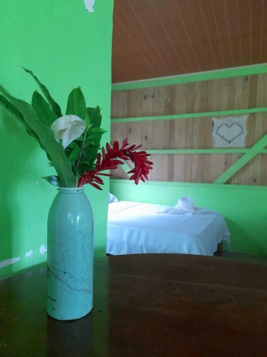 Standard Family room with garden view
