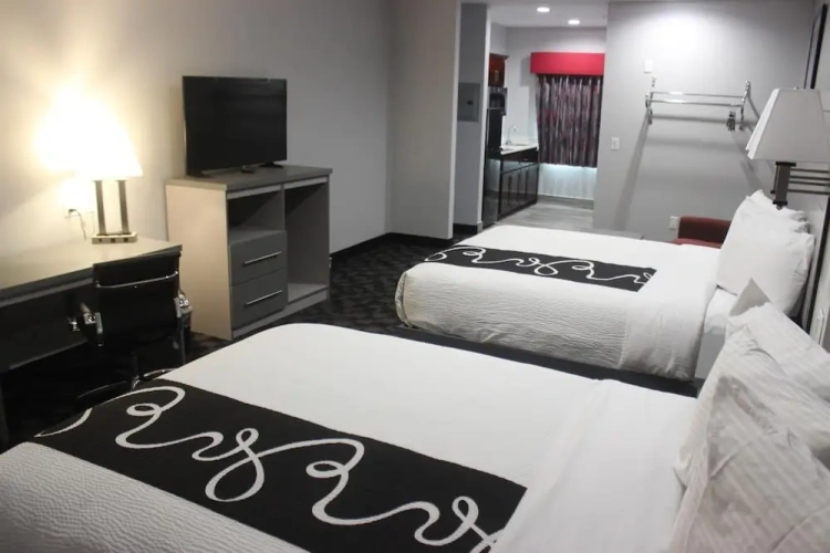 Single Suite