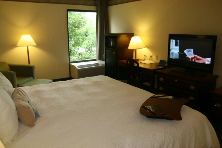 Hampton Inn Marietta