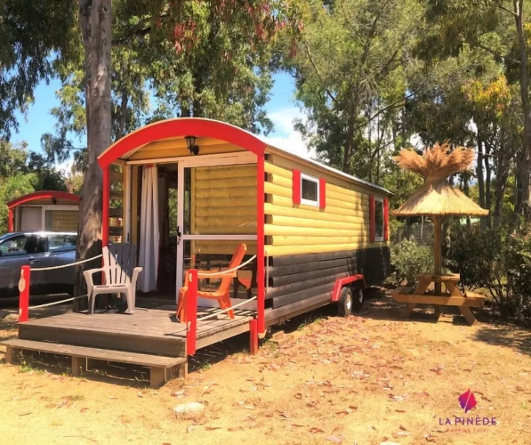 1 Bedroom Standard room