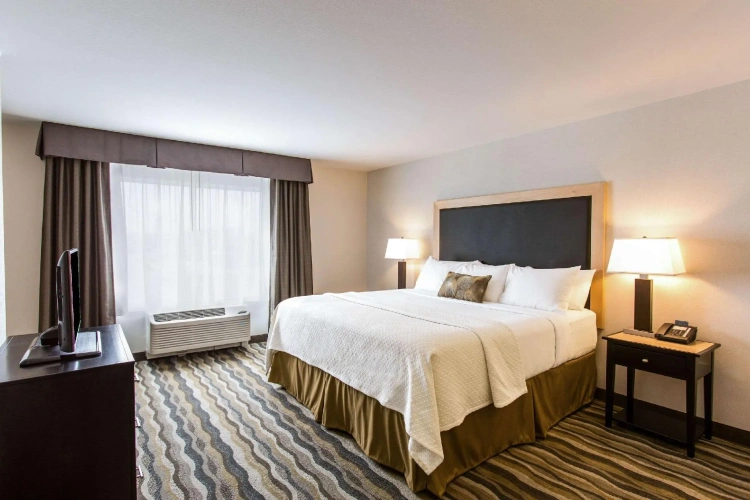 1 Bedroom Suite