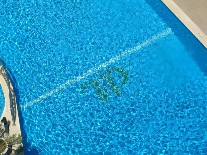 Standard Double room with pool view