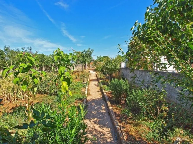 2 Bedrooms Cottage with garden view