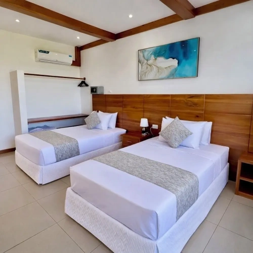 Standard Double room with balcony and with ocean view