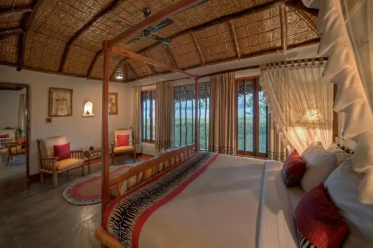 Evolve Back, Kabini