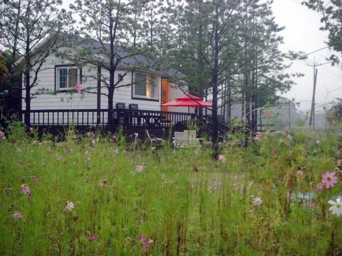 Cottage