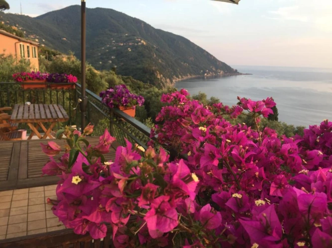 Deluxe Double room with sea view