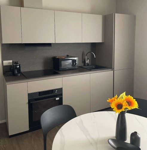 Luxury Apartment