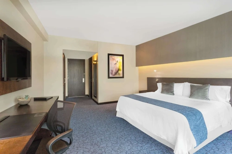 Business Double room with city view