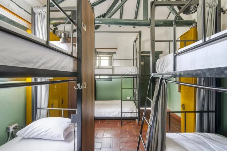 Bed in Dorm