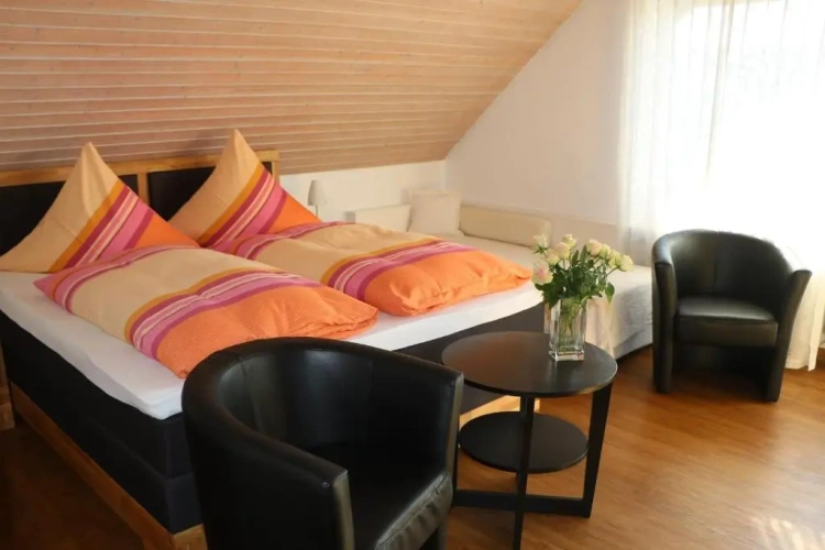 Standard Double room with balcony and with sea view