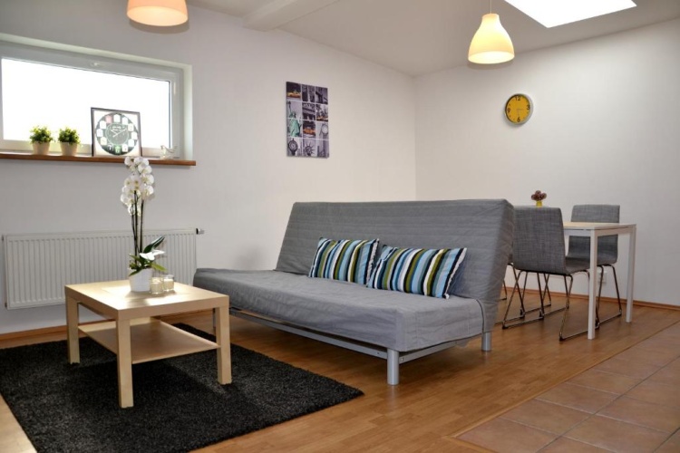 1 Bedroom Apartment