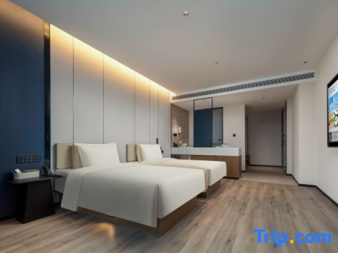Standard Twin room with city view
