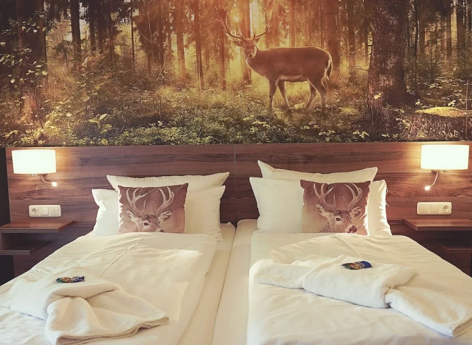 Deluxe Double room
